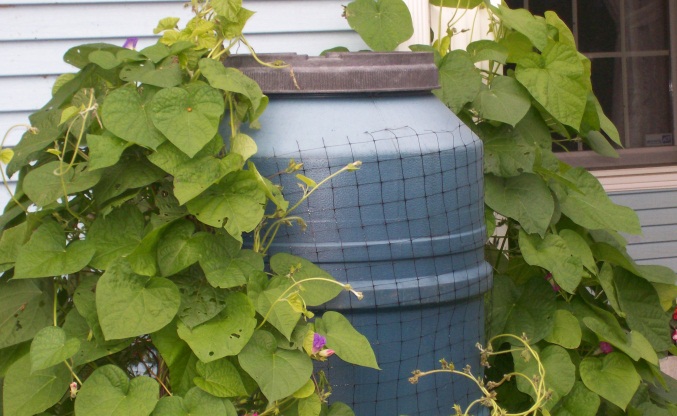 Rain Barrel Accessories