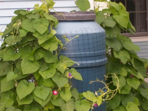 Plastic Barrel Netting