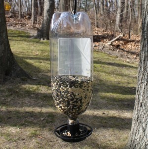 Upcycled Bottle Bird Feeder