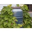 Plastic Barrel Netting