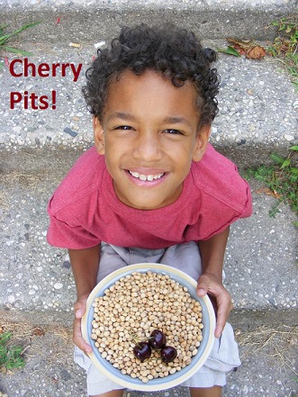Cherry Pits